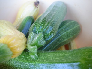 Cucumbers